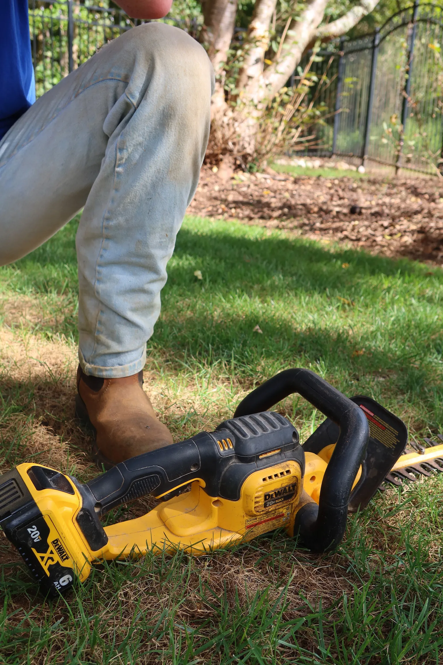 Tree Services, a Jesse Walters Landscaping project